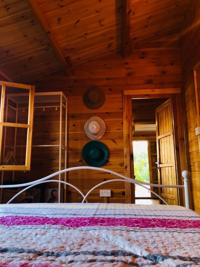Villa Happy Glamping Cy Agios Theodoros Esterno foto
