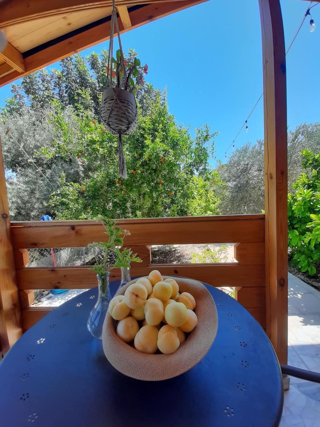 Villa Happy Glamping Cy Agios Theodoros Esterno foto